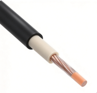 Câble de stockage d'énergie de batterie basse tension flexible en cuivre EPR HOFR Zhongkai 0361TQ BS 638 25mm²