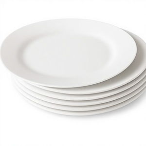 Assiettes en mélamine, résistantes au lave-vaisselle et au micro-ondes, écologiques, durables, personnalisables, modernes, minimalistes, haut de gamme, incassables, pour mariage - Product Image 1