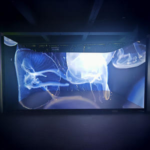 Mur d'<span class=keywords><strong>arrière</strong></span>-<span class=keywords><strong>plan</strong></span> LED pour production virtuelle P2.5/P1.8 16 bits 2880 Hz pour magasins de détail et usage éducatif - Product Image 1