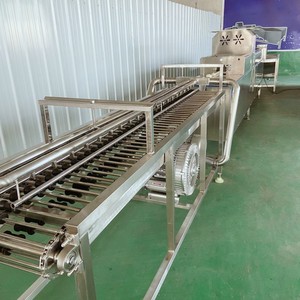 Machine industrielle <span class=keywords><strong>TEK</strong></span> en acier inoxydable pour le lavage et le séchage des œufs, ligne simple ou double, <span class=keywords><strong>brosse</strong></span> de nettoyage des œufs, ligne de nettoyage des œufs de poule - Product Image 5