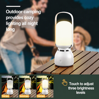 Mini-enceinte portable sans fil 5.3 étanche IPX4 pour extérieur, camping, avec subwoofer RGB et système sonore d'ambiance