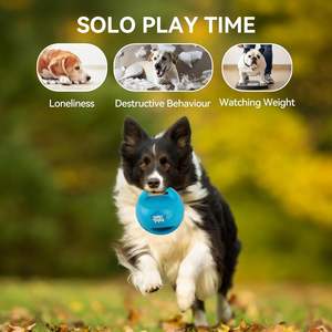 Giocattolo Interattivo per Animali Domestici AFP, Palla Sonora per Cani, Gioco di Tira e Molla, Esercizio all'Aperto, Gioco da Masticare per Cani Piccoli e Medi - Product Image 5