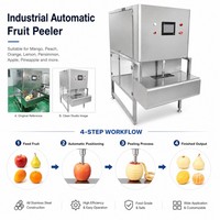 Industriële mango-perzik-sinaasappel-citroen-persimmon-appel automatische fruitenschiller ananas-schilmachine