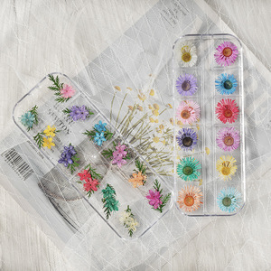 Mezcla de <span class=keywords><strong>flores</strong></span> <span class=keywords><strong>secas</strong></span>, decoraciones para <span class=keywords><strong>uñas</strong></span>, pegatinas de hojas florales naturales 3D para Navidad, esmalte de <span class=keywords><strong>flores</strong></span> <span class=keywords><strong>secas</strong></span> <span class=keywords><strong>en</strong></span> <span class=keywords><strong>uñas</strong></span> para diseño de joyas - Product Image 2