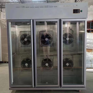 Gabinete <span class=keywords><strong>de</strong></span> secado <span class=keywords><strong>de</strong></span> pato <span class=keywords><strong>de</strong></span> tres puertas <span class=keywords><strong>de</strong></span> vidrio, ventilador grande, refrigeración <span class=keywords><strong>de</strong></span> pato <span class=keywords><strong>de</strong></span> descongelación, refrigeración por aire, equipo <span class=keywords><strong>de</strong></span> pato asado <span class=keywords><strong>de</strong></span> Beijing sin escarcha - Product Image 6