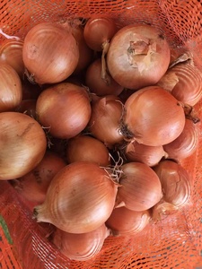Oignons frais naturels jaunes / rouges à peau, qualité supérieure, fournisseur d'oignons frais, marque optimale, <span class=keywords><strong>prix</strong></span> de gros d'usine, exportateur - Product Image 3