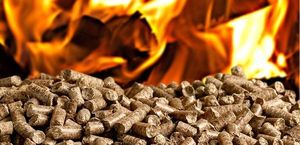 Granulés de bois de première qualité, combustible biomasse haute densité, rendement thermique constant, norme ENplus, 4500 J par calorie, diamètre 6-8 mm, renouvelable - Product Image 5
