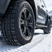 Neumáticos de Invierno para Automóviles al por Mayor, 275/40R20 285/40R20 295/40R20 315/35R20, para Automóviles de Pasajeros y SUV