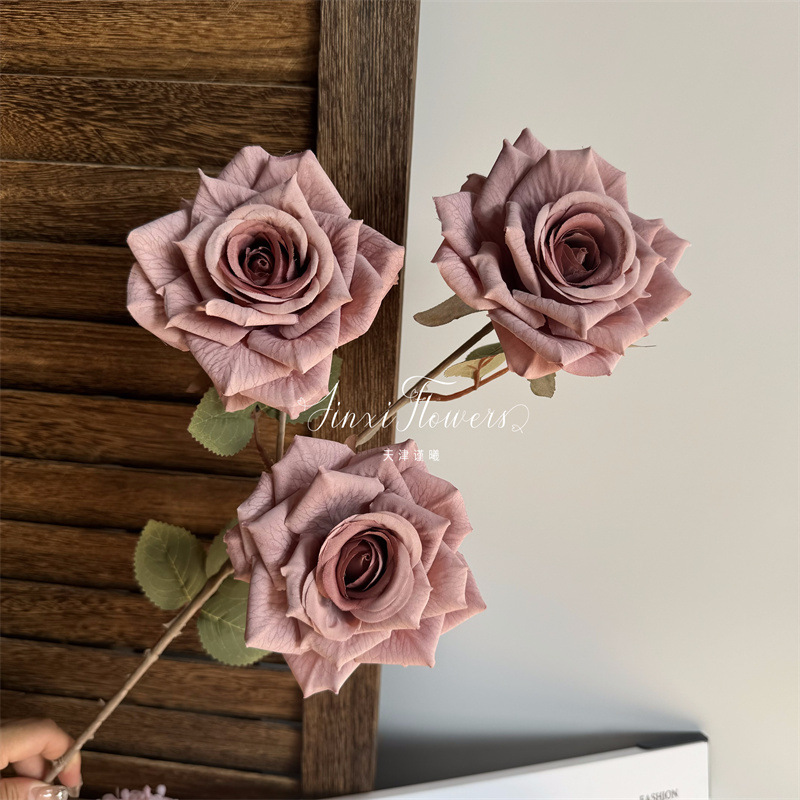 Manta Rose