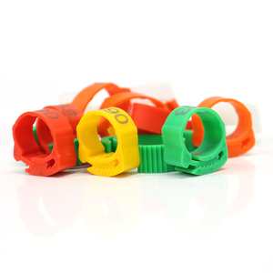 Custom Gevogelte Duif Indentification Been Band Vogel Tracking Postduif Voet Ringen Verstelbare Plastic Tag Voor Kip - Product Image 1