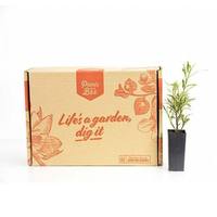 Boîte d'expédition durable pour livres, en carton ondulé, pour l'emballage de bandes dessinées et de magazines