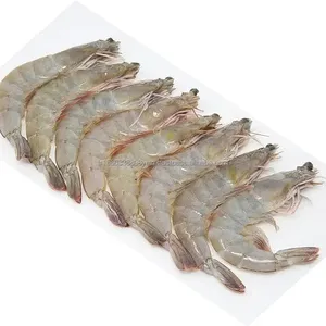 Vannamei Camarones Gambas, Tipo de embalaje: Paquetes congelados al mejor precio