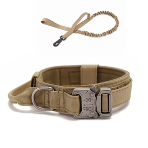 Anpassbares Logo & Farbe Nylon Trainings halsband Metalls chnalle Taktisches Hunde halsband Leine Set für mittelgroße Hunde Haustier produkte - Product Image 1