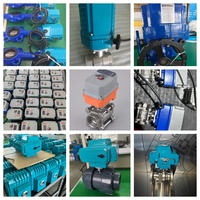 Actionneur électrique rotatif DC 12V 24V AC 220V 380V 415V pour la réglage de l'angle de l'émerillon de grue offshore