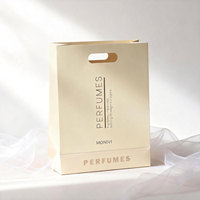 Sac de shopping en papier de luxe écologique en matériaux recyclés avec logo personnalisé et poignées découpées pour emballage cadeau, cosmétiques et foulards