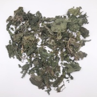 Feuilles de marruechons séchées L099, Urtica Dioica pure et naturelle pour tisanes et soutien bien-être Qian Ma Ye
