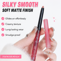 Crayon à lèvres longue tenue imperméable aux minéraux naturels avec effet lèvres pulpeuses, rouge à lèvres mat pour maquillage quotidien, logo personnalisé