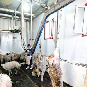 Thiết bị giết mổ cừu, dê, nhà máy giết mổ thịt cừu, đường ray vận chuyển xác thịt - Product Image 1