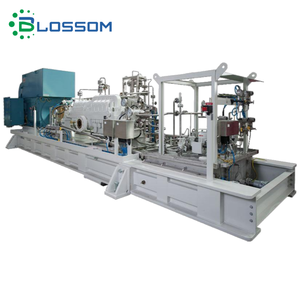 Blossom API 610 Bomba Centrífuga com Bomba BB3 Bomba Química De Sucção Final - Product Image 6