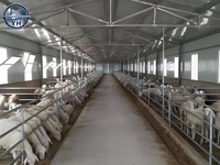 Structure en acier préfabriquée pour élevage de chèvres, fournisseur chinois, conception de hangar pour élevage de moutons