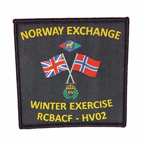 Wholesale Custom High Quality Embroidered Chenille Woven Iron-On Garment Patches for Hats and Bags Eco-Friendly - Product Image 3