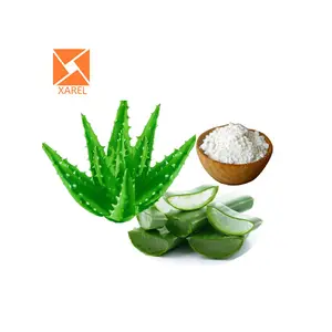 Tinh khiết tự nhiên 100: 1 200: 1 Aloe Vera Gel đóng băng bột khô/ALOE VERA đóng băng bột khô/Aloe Vera Gel bột