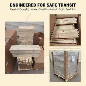 Nouvel équipement apicole multi-sweet National Beehive en bois de <span class=keywords><strong>sapin</strong></span> de Chine, garantie 1 an, modèle B-7E - Product Image 2