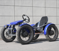 Quadricycle électrique tout-terrain 4x4 pour adultes avec pneus larges pour moto de tourisme, moto électrique 4000W, ATV électriques