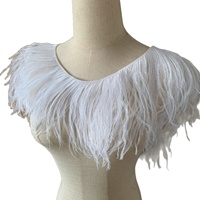Plumes d'autruche directes d'usine pour robes de haute couture, garnitures en dentelle, accessoires vestimentaires, costumes de danse et de performance