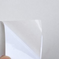 Étiquette PET de qualité industrielle résistante aux hautes températures 200°C, anti-décoloration, blanc brillant pour l'industrie sidérurgique 203G