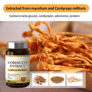 Capsules d'extrait de champignon AMULYN cordyceps sinensis Complément alimentaire capsule de cordyceps militaris gélules de cordyceps - Product Image 5