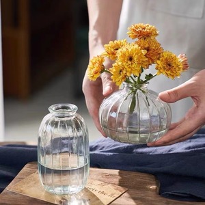 <span class=keywords><strong>Mini</strong></span> vase en verre transparent de couleur nordique, petit récipient à fleurs créatif et simple pour arrangement floral de table - Product Image 6