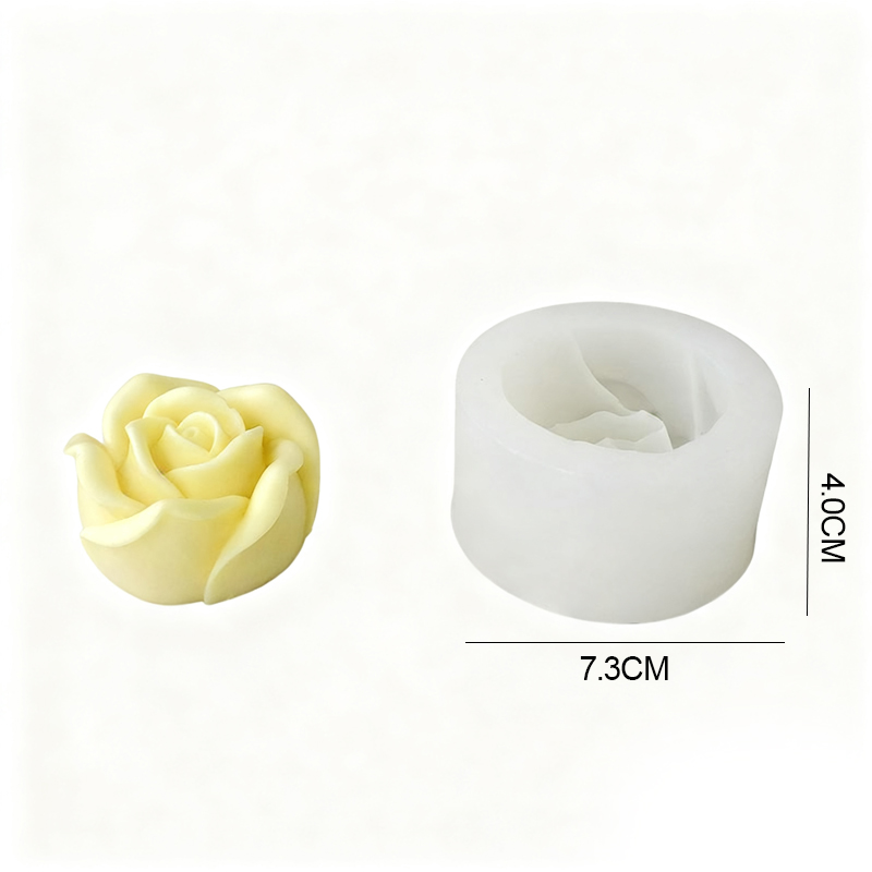 Modèle blanc-5