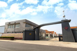 Mat ışık buzlu antik pirinç Finish Alto saksafon pirinç gövde EB ton - Product Image 5