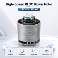 Moteur BLDC sans balais DC 310V haute vitesse 80000 tr/min pour sèche-cheveux Dyson et conduit d'air