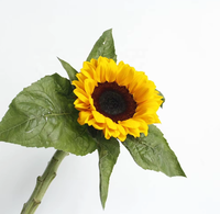 Natuurlijke verse boeket zonnebloemen, snijbloemen, prijzen, beste kwaliteit, decoratieve bloemen, lang houdbaar