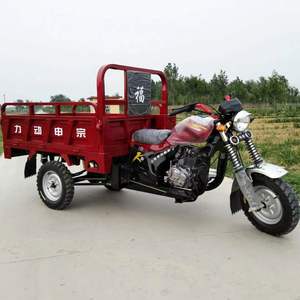 Elektrische Driewieler <span class=keywords><strong>3</strong></span> Wielen Mini Dumper Vrachtwagens 1ton Cargo Motorfiets Elektrische Lading Driewieler Uit China - Product Image 2