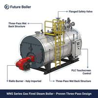 Chaudière à vapeur automatique au gaz de 2 tonnes certifiée CE, prix d'usine pour l'approvisionnement des usines alimentaires, pharmaceutiques et chimiques, fournie par Yuanda Boiler