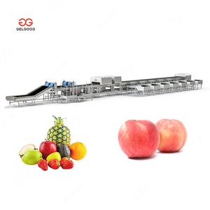 Máquina Clasificadora <span class=keywords><strong>de</strong></span> Peso para Zanahorias Bebé, Equipo <span class=keywords><strong>de</strong></span> Encerado y Clasificación <span class=keywords><strong>de</strong></span> Manzanas, Clasificación para Naranjas en Frigorífico - Product Image 3