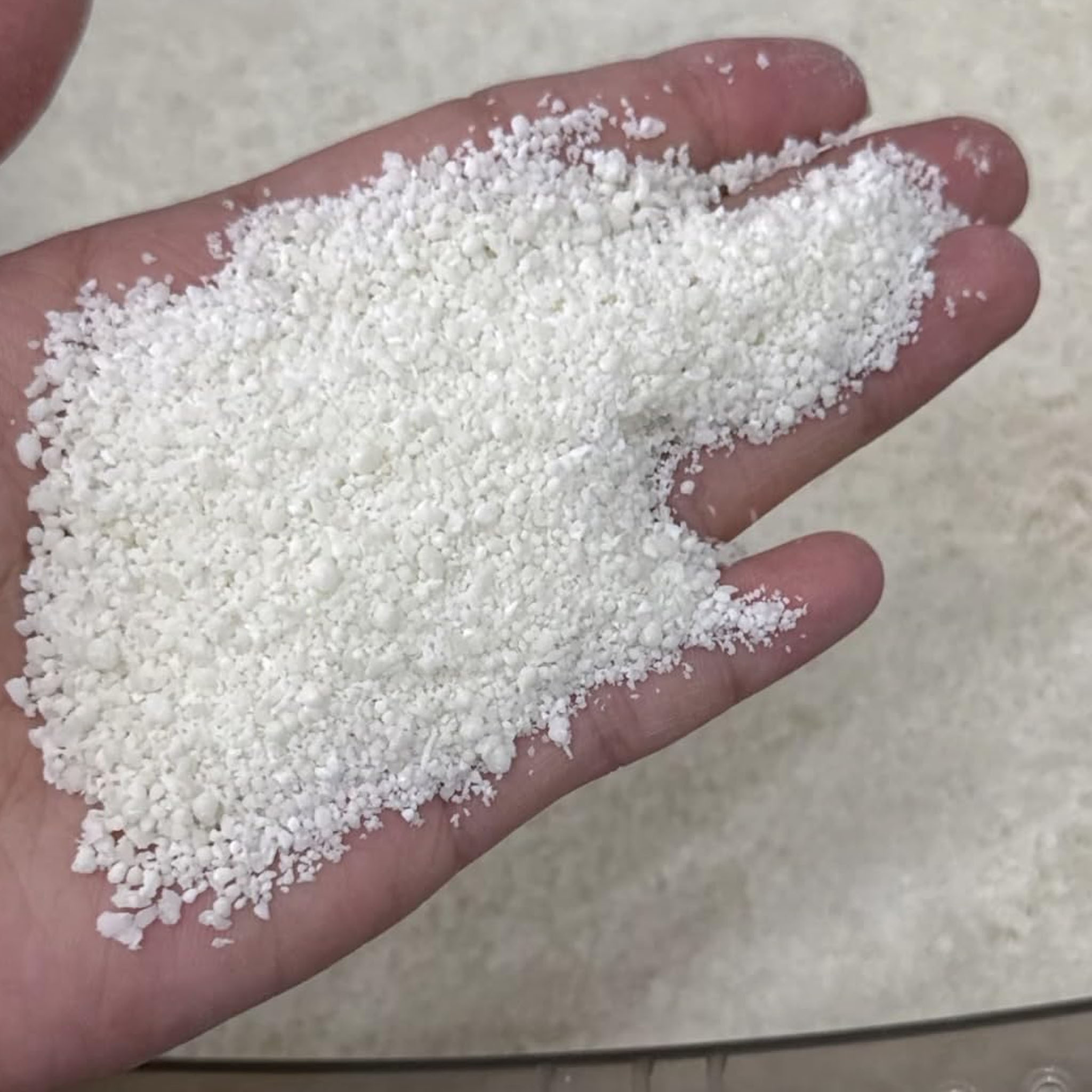 Manioc