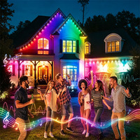 Luces para Aleros de Techo, Venta de Fábrica, 40 LEDs/20m, DC24V, Control Inteligente por Aplicación, PC+Silicona, IP67, Impermeables, para Decoración de Fiestas, Hogar y Días Festivos