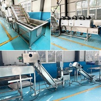 Kalkoen Friet Chips Aardappelfabrikant Grote Automatische Bananenvlok Verse Productlijnmachine Kleinschalig