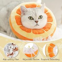 Collier de Stérilisation Anti-Léchage et Anti-Morsure pour Chatons Elizabeth Cotton avec Motif Imprimé en Relief pour Chats et Chiens