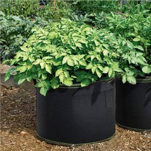 Sacs de culture en feutre agricole de 10 gallons pour la croissance des légumes - Marque personnalisable - Product Image 1