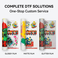 Impression par transfert de chaleur DTF pour T-shirt Logo