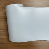 Film rigide de feuille de PVC de diffuseur de lumière blanche résistant aux UV imperméable de 0.3mm pour l'abat-jour