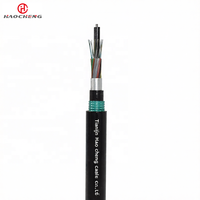 Câble à fibre optique Hao Cheng GYTA53 monomode G652D/G655, blindage en ruban d'acier enterré, entièrement étanche