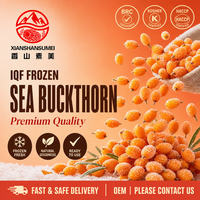 Bulk IQF Duindoornbessen, hele wilde vruchten, graad A, exportkwaliteit, rechtstreeks vanuit de Chinese fabriek
