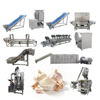 Ligne de production de poudre d'ail de qualité supérieure avec machine de séchage, machines de transformation de l'ail, ligne de production de transformation de l'ail