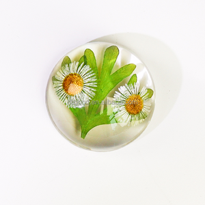 Planta Resina Artesanía Pisapapeles Acrílico Transparente con Planta Espécimen Flor Arte Flores Secas en Resina - Product Image 2